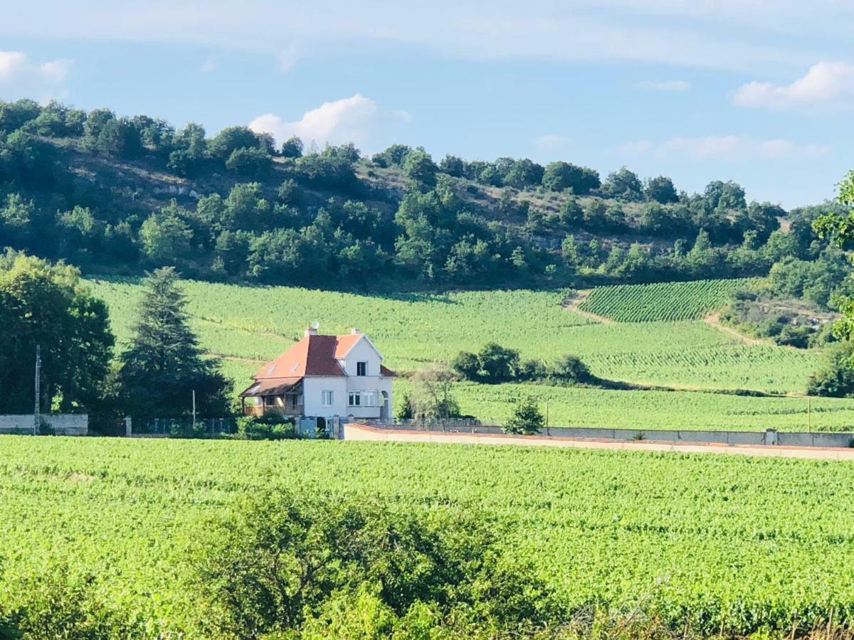 Villa De La Roseraie Rully  Dış mekan fotoğraf
