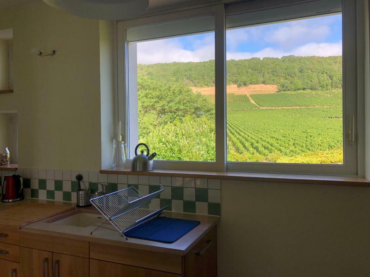 Villa De La Roseraie Rully  Dış mekan fotoğraf